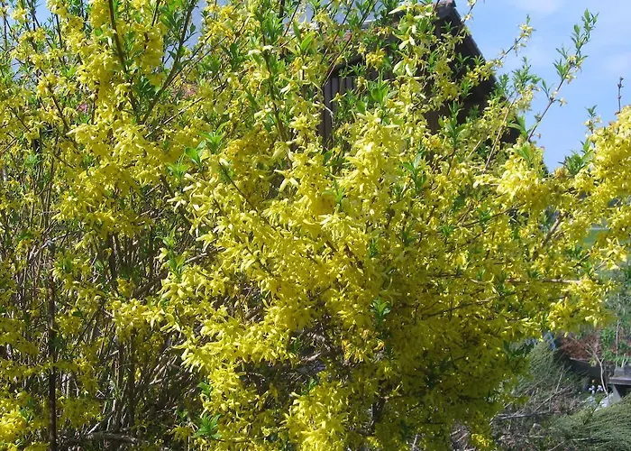 Haus Hoerger 梅尔霍芬